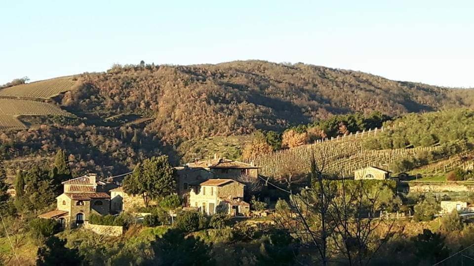 Agriturismo Poggio All'Olmo Villa Greve in Chianti Exterior photo