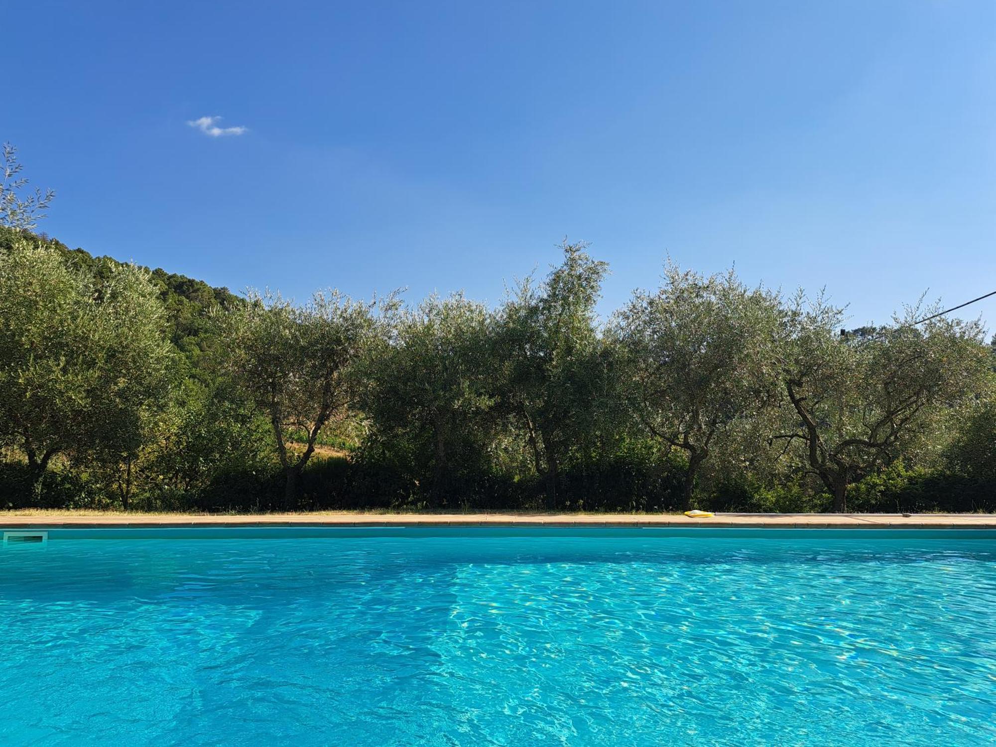 Agriturismo Poggio All'Olmo Villa Greve in Chianti Exterior photo