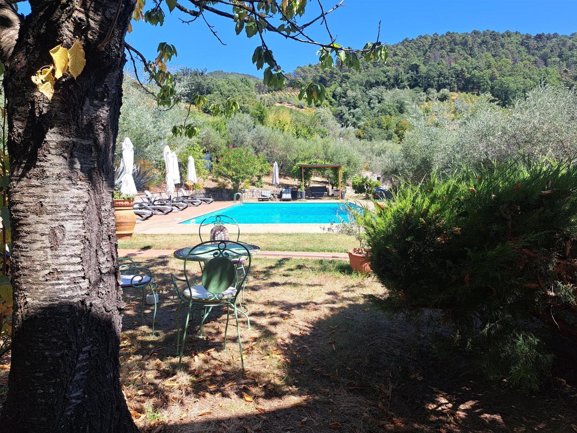 Agriturismo Poggio All'Olmo Villa Greve in Chianti Exterior photo