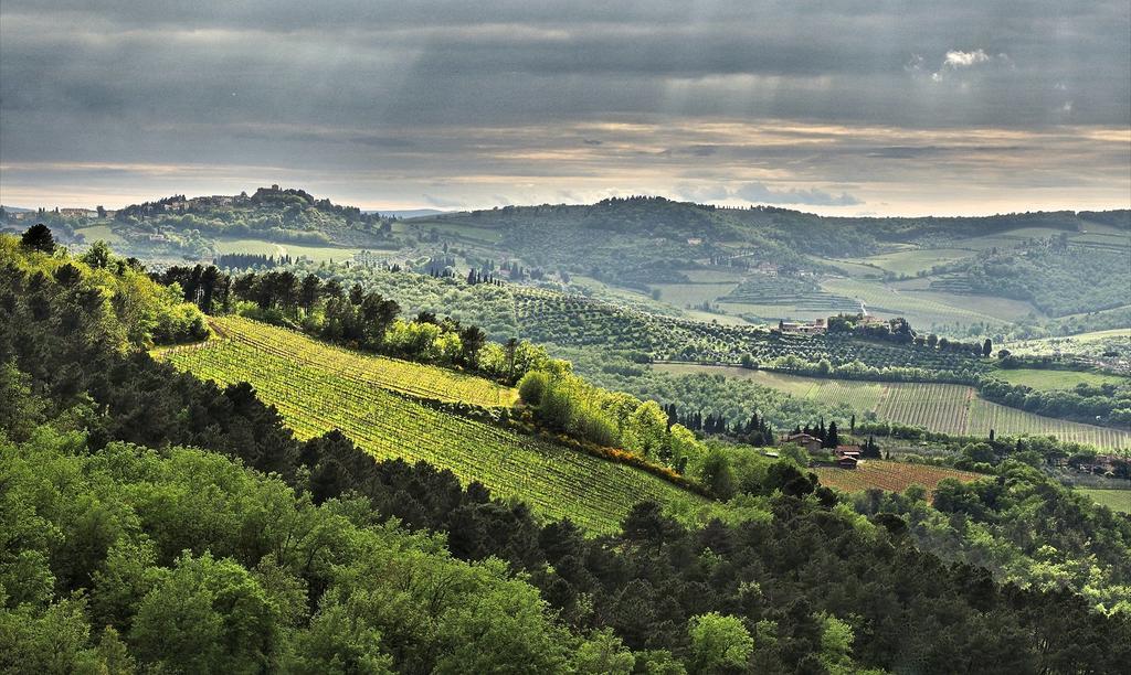 Agriturismo Poggio All'Olmo Villa Greve in Chianti Exterior photo
