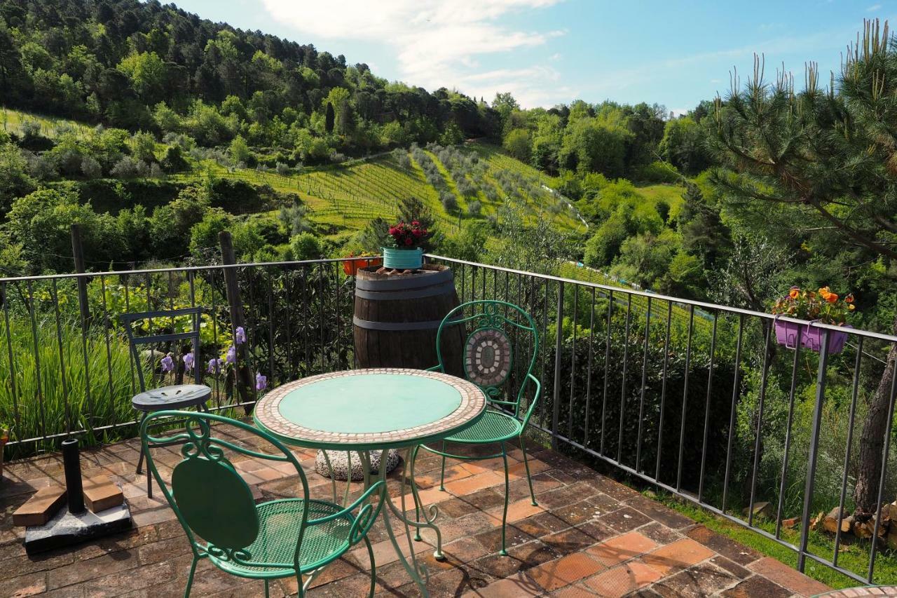 Agriturismo Poggio All'Olmo Villa Greve in Chianti Exterior photo